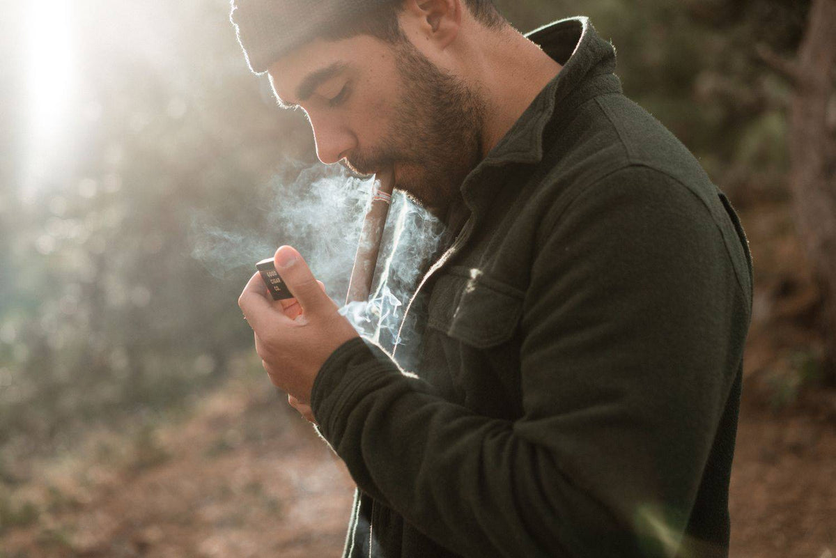 Apex by Good Cigar Co - [Good Cigar Co]