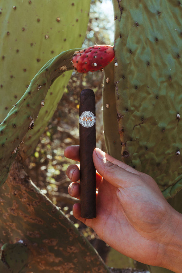 Rove by Good Cigar Co - [Good Cigar Co]